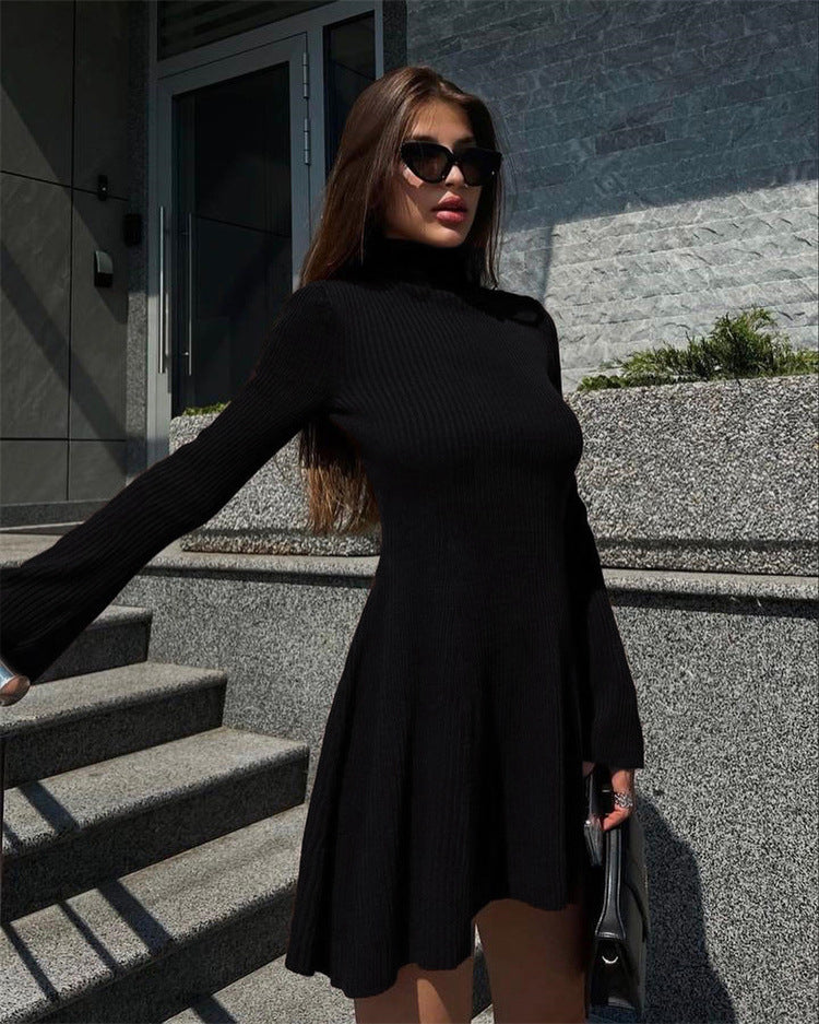 Long Sleeve Knitted Turtleneck Dress