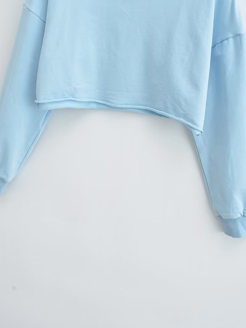 Spring Cropped Round Neck Loose Long Sleeves Pullover Sweater